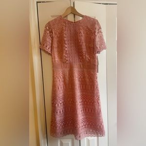 Rachel Parcell Lace Womens Dress Size Medium